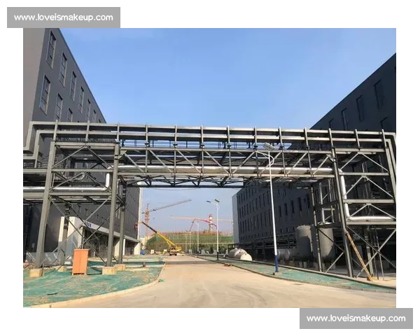 标王加盟引领产业升级打造品牌共赢新机遇激活市场发展动能新格局